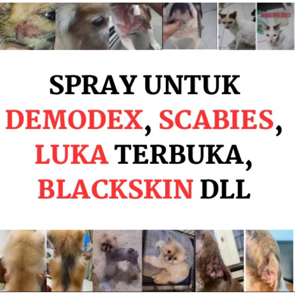 SPRAY RAHASIA ORI /PLUS VCO