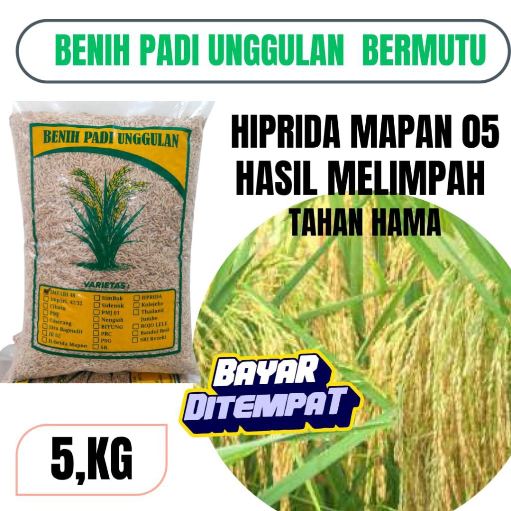 Benih padi unggul berkualitas HIPRIDA MAPAN.05 Kemasan 5KG