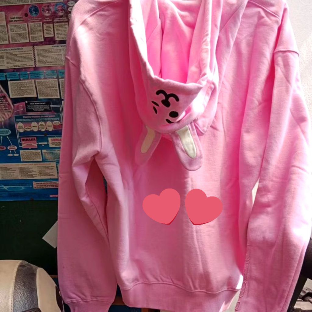 Defect LineFriends official Hoodie Chooky