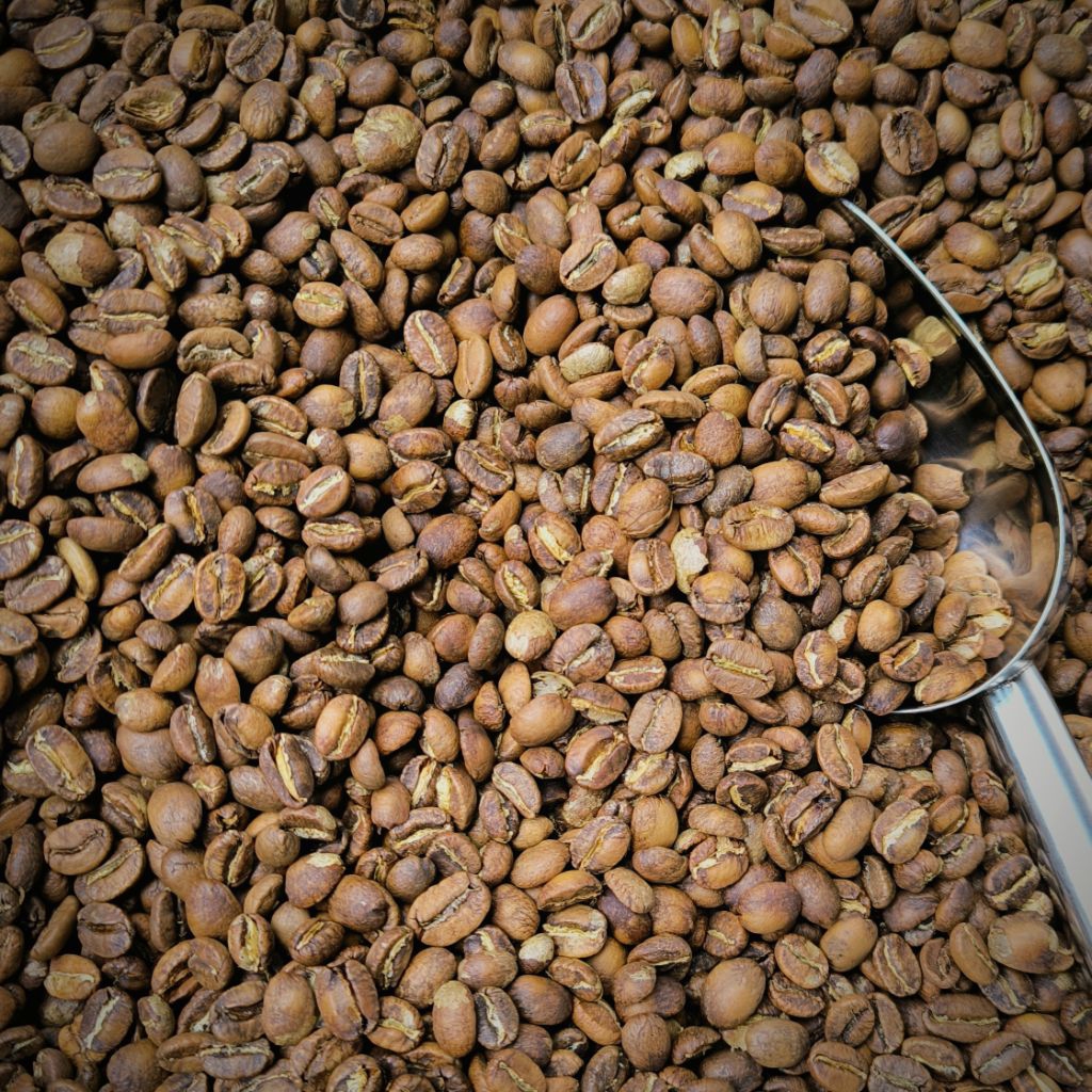 Volcano coffee Arabica Luwak Kemasan 100gr Authentic luwak Coffee