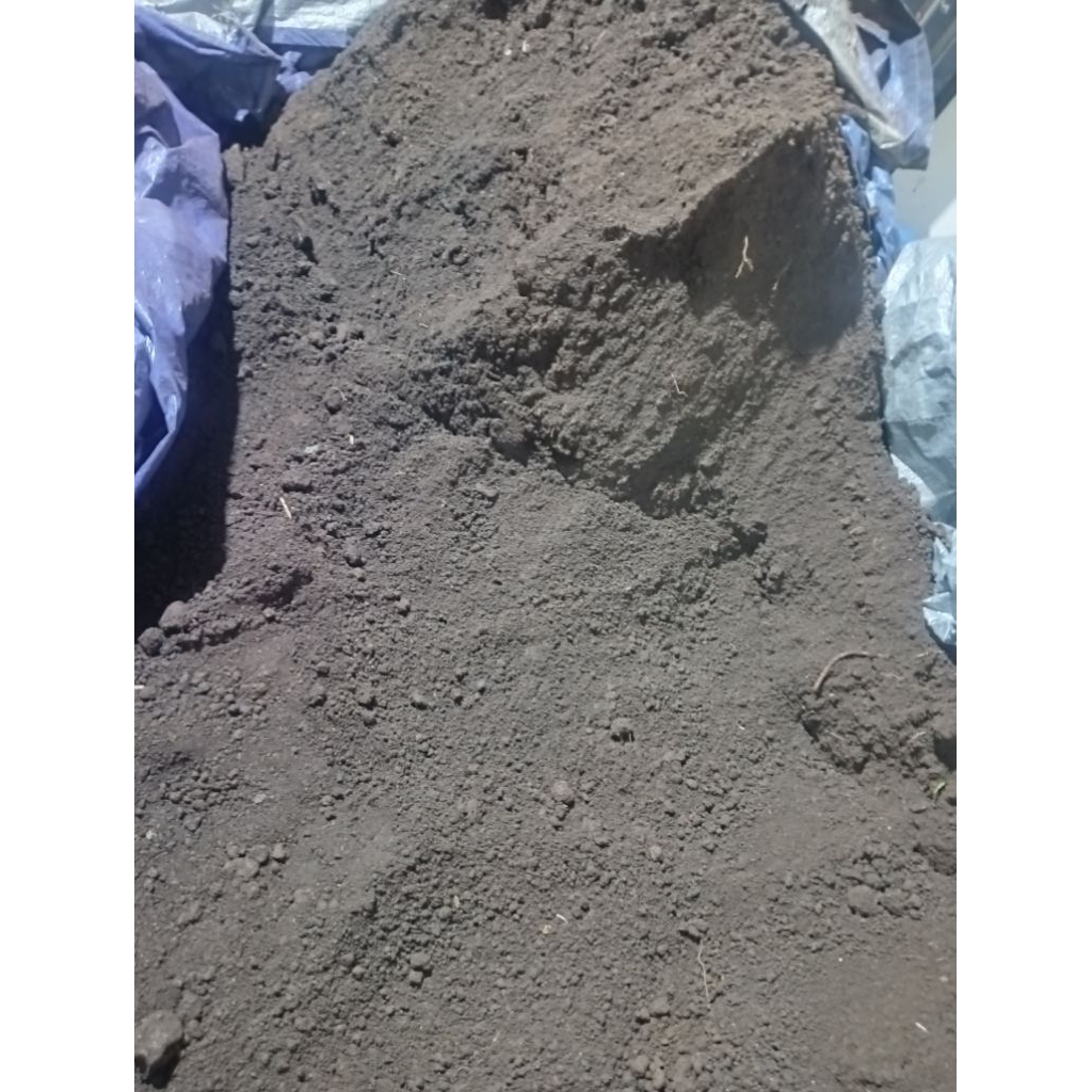 TANAH LEMBANG KARUNGAN/MEDIA TANAM TANAH LEMBANG/TANAH LEMBANG MURAH/MEDIA TANAM SIAP PAKAI