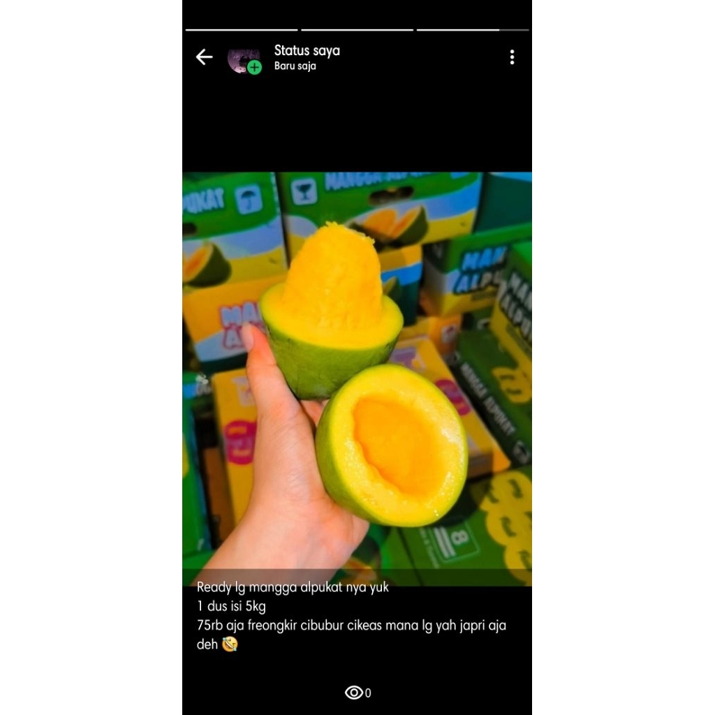 mangga alpukat 5kg
