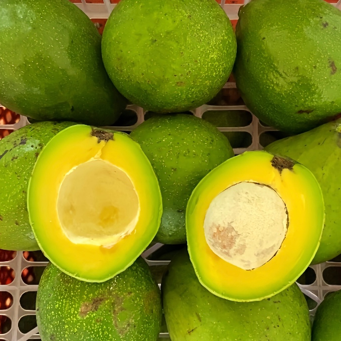 Alpukat Mentega Kelud / Grade C / Alpukat Blitar / Alpukat Kelud / Isi 7-8