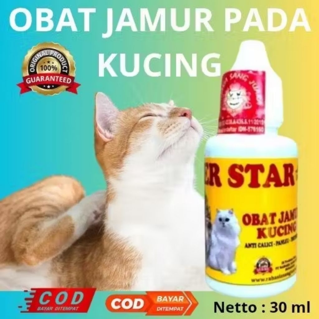 OBAT JAMUR KUCING TETES MULUT 30 ML