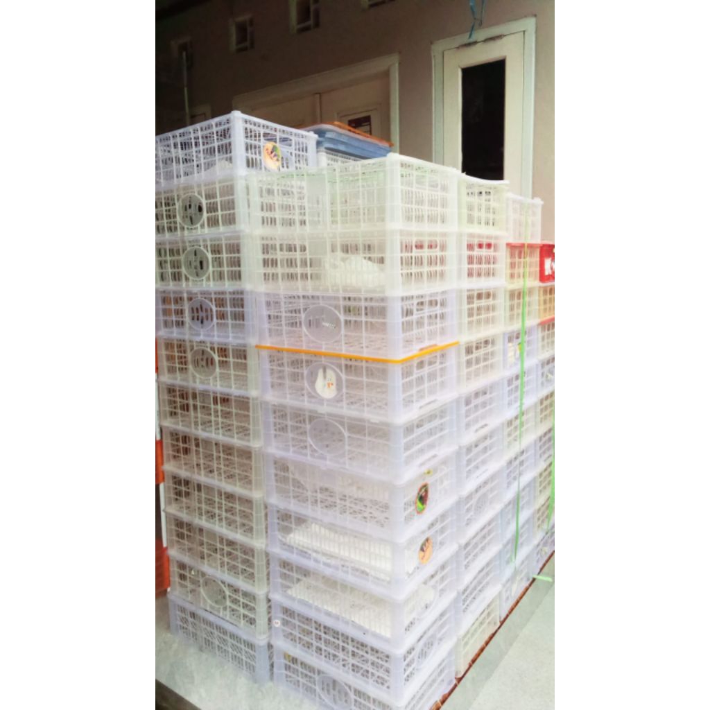 Keranjang bekas buah jeruk ( 5 pcs )