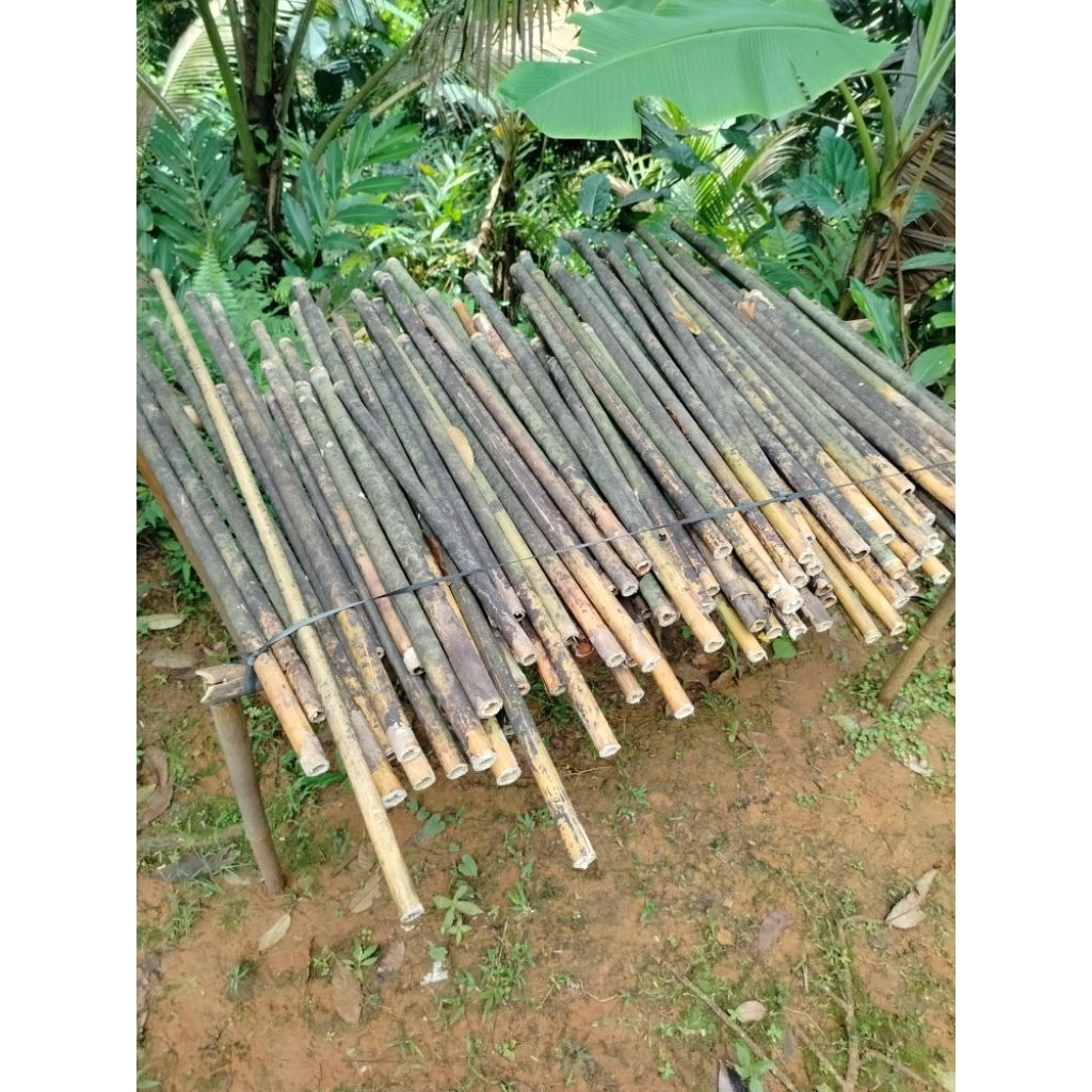 bambu tamiang bahan layangan (ukuran bisa custom)