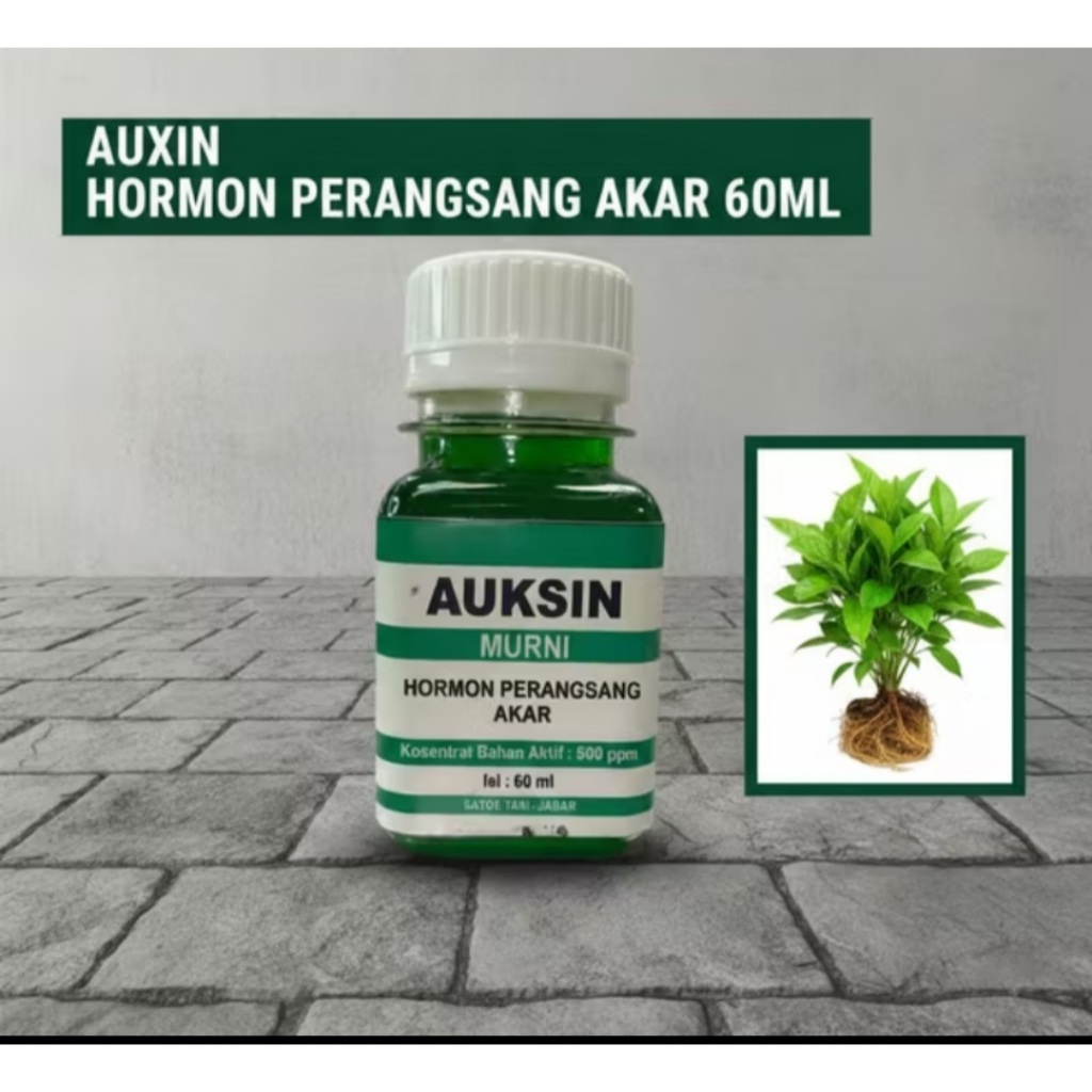 AUXIN AUKSIN HORMON PERANGSANG AKAR MURNI 60 ML/ CAIRAN PERANGSANG AKAR TANAMAN