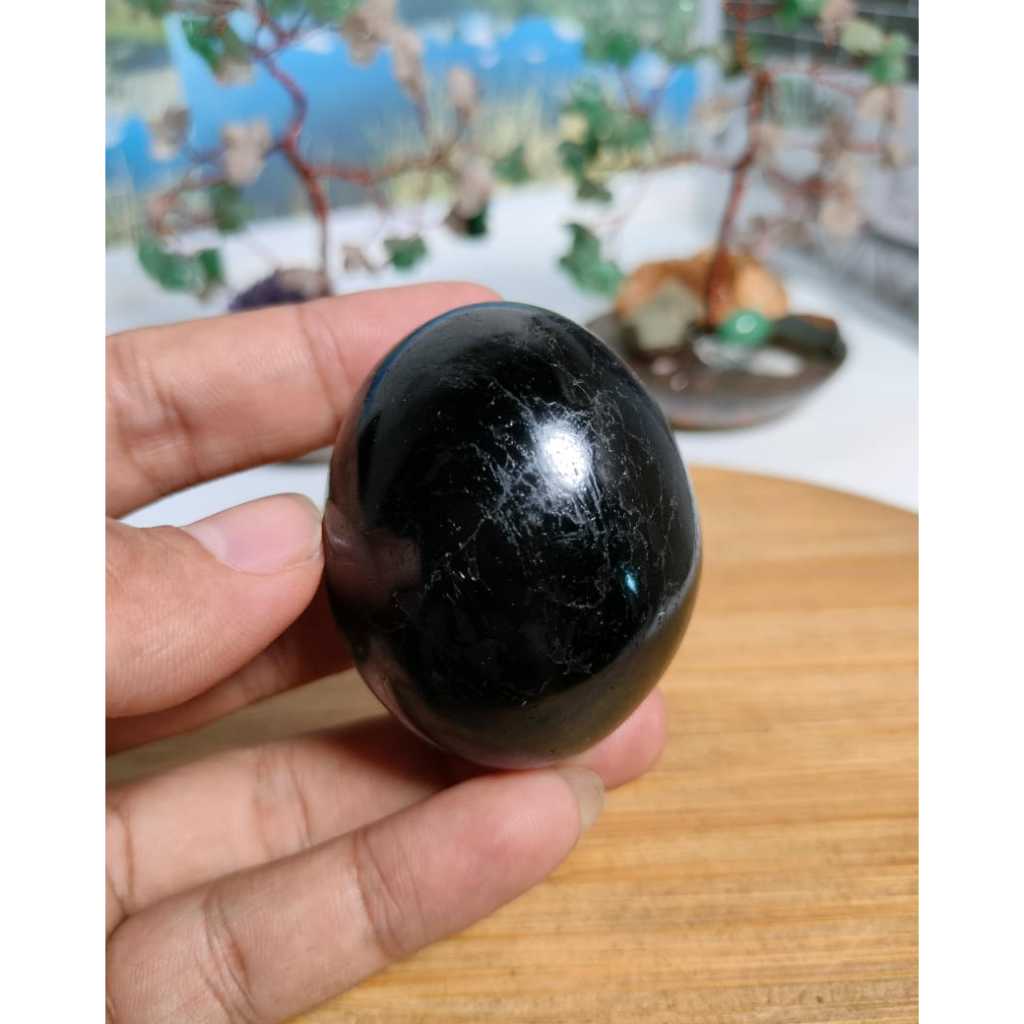 Batu Natural Black Tourmaline palm (12)