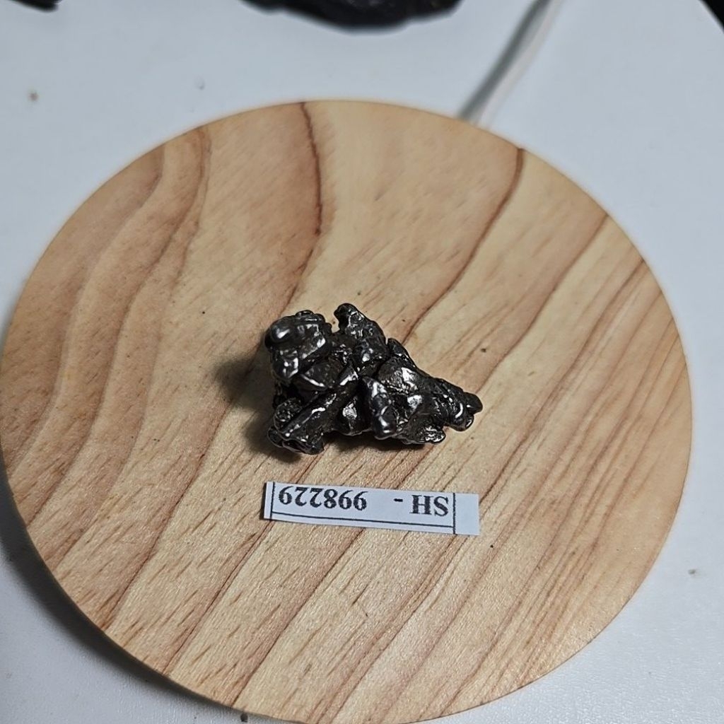 Campo del Cielo Iron Meteorite asli Gran Chaco Gualamba, Argentina