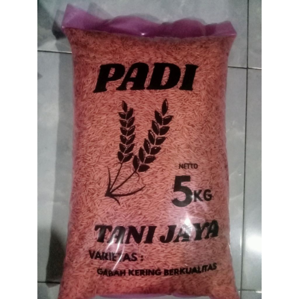 BENIH PADI UNGGUL SRIKANDI SUPER 5KG