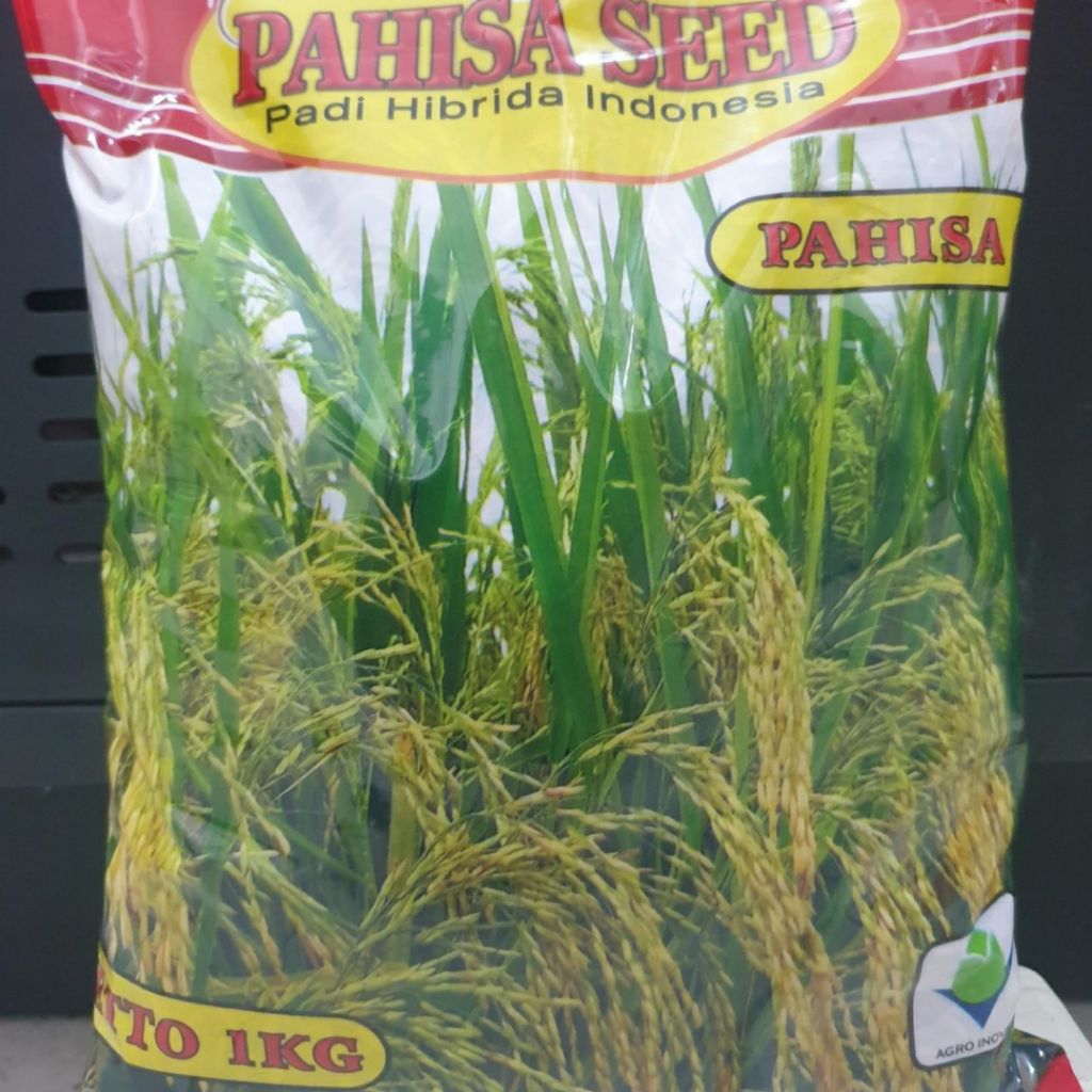 Benih Padi HIBRIDA PAHISA 01 Seed 1 Kg
