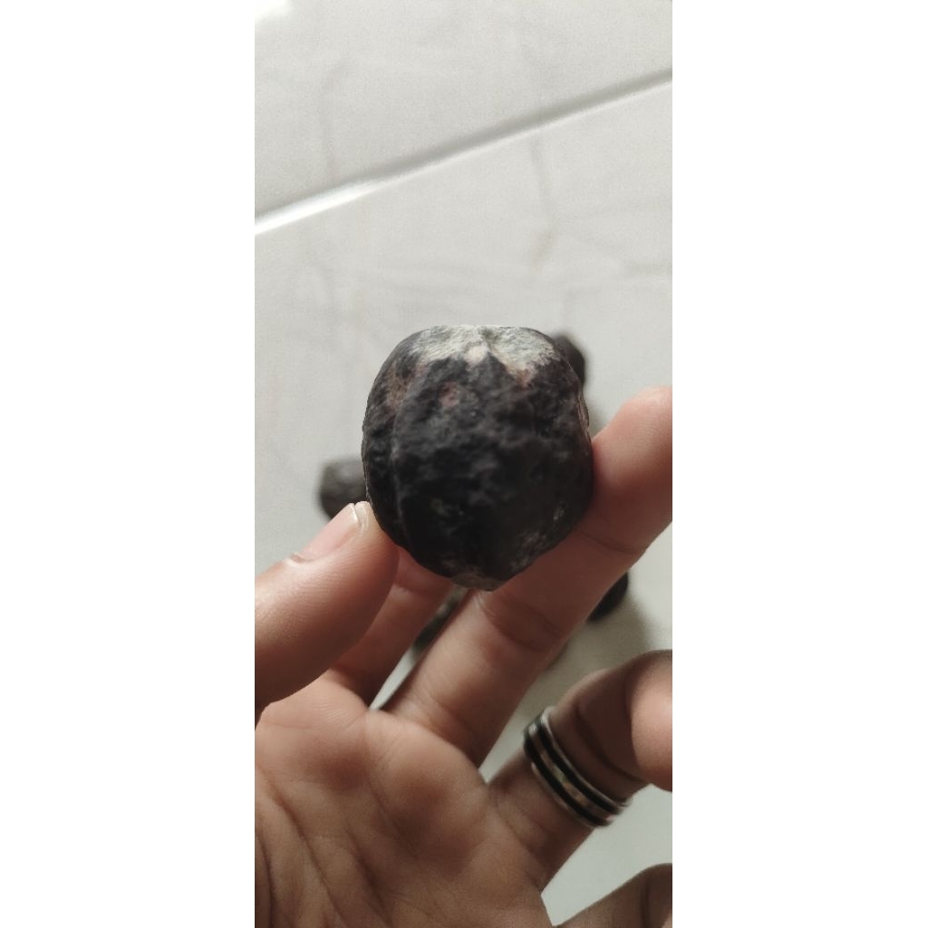 Muncang Aduan Super Denpom + Jayanti