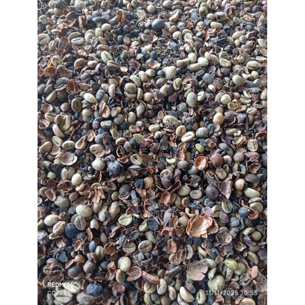 Pixel Robusta Asalan