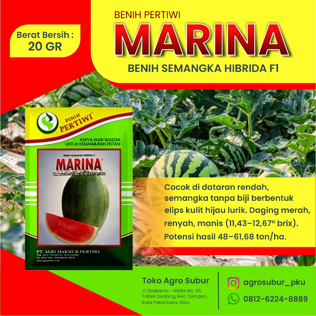 BENIH SEMANGKA NON BIJI MARINA PERTIWI 20 GR