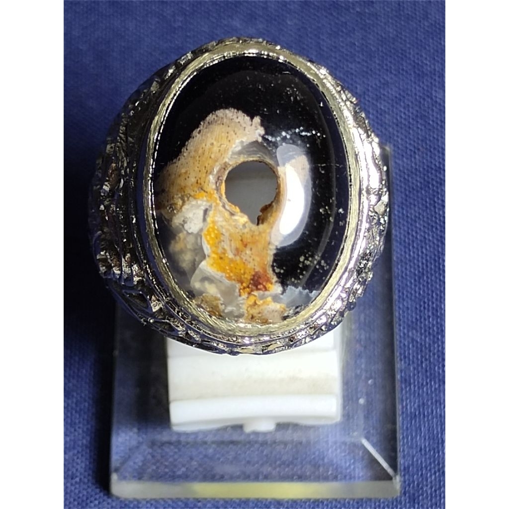 Natural Kelor Petrified Wood, MYSTIC / Batu Fosil Kayu Kelor, SAKRAL, COMBONG , MEMAKAN REMBULAN