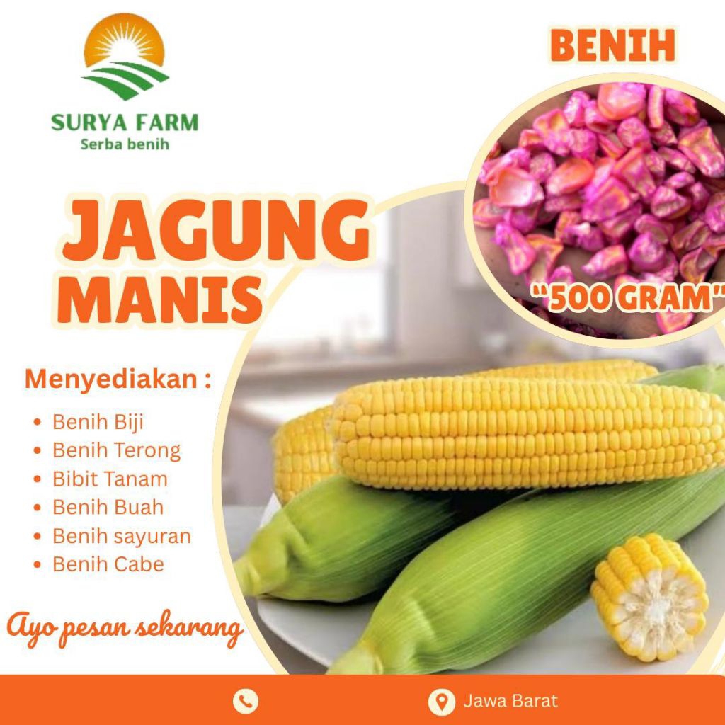 Benih Biji Jagung Manis Kemasan  /Bibit Jagung Manis Unggul