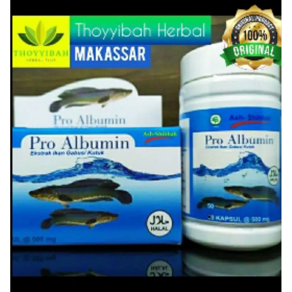 Kapsul Ikan Gabus ALBUMIN Dijamin ORIGINAL/ASLI Ekstrak Ikan Gabus Pro Albumin Kapsul Kutuk Obat Pas