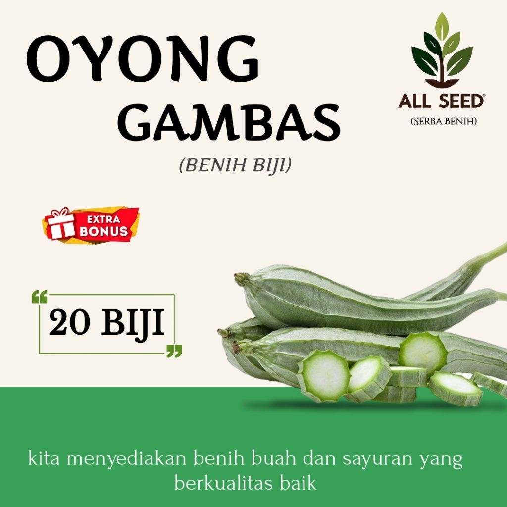 ( 20 biji ) Benih oyong gambas | bibit biji oyong/emes | benih emes
