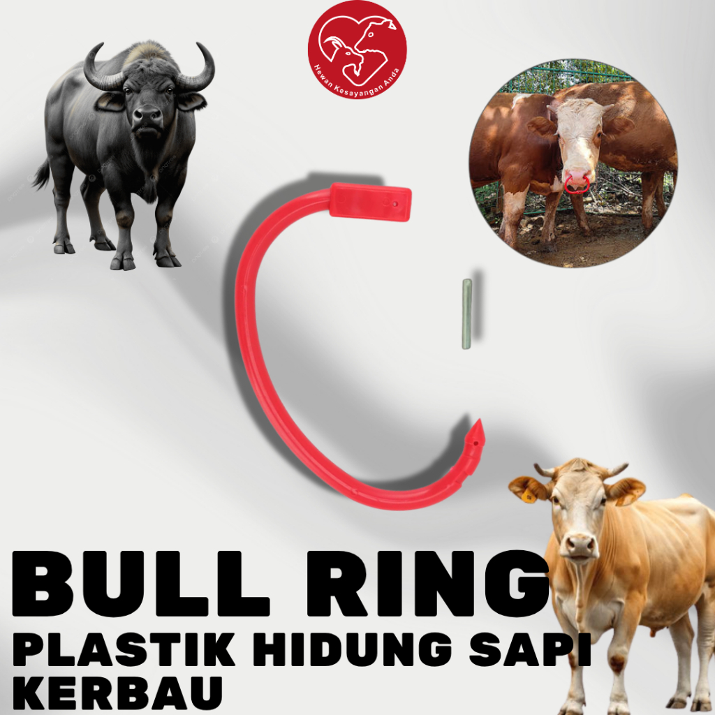 Cincin Ring Plastik Bull Ring Plastik Merah untuk Hidung Sapi Lembu Kerbau