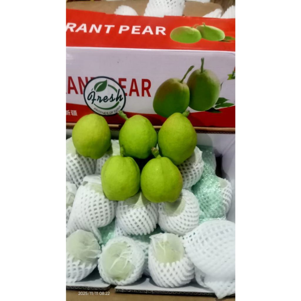 Buah pir xianglie fresh n manis netto 1000gr