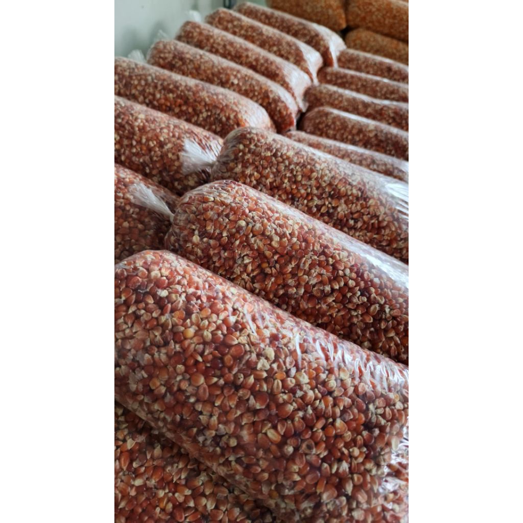 Jagung kristal Merah Premium untuk Merpati – Bersih, Tinggi Protein, 1 Kg