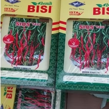 BENIH CABE KERITING - SIOS TAVI F1 -10GRAM