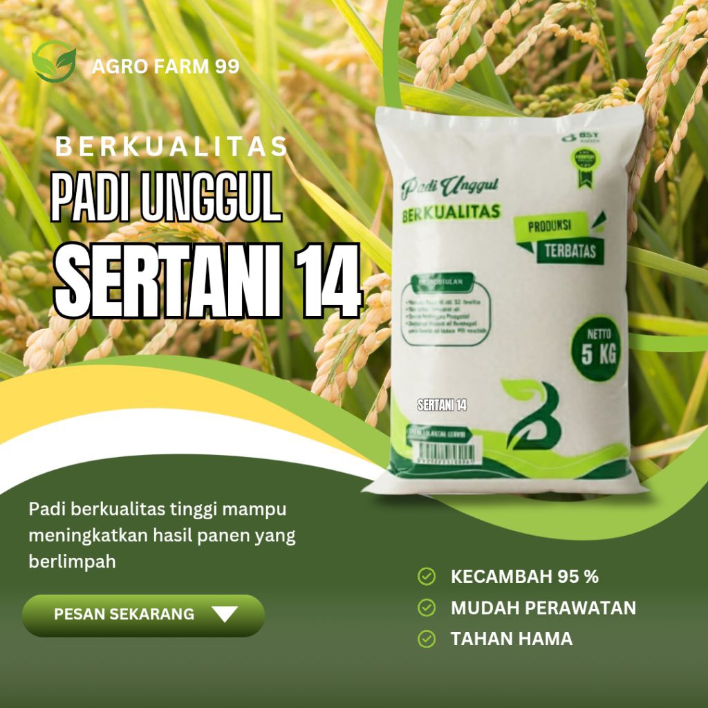 Benih padi Unggul Sertani 14 kemasan 5kg