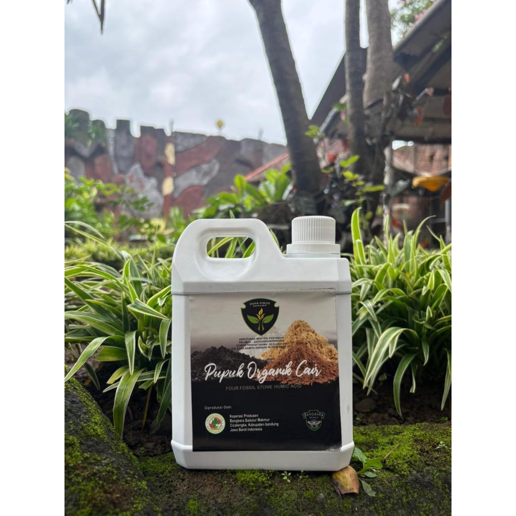 ASAM HUMAT / PUPUK ORGANIK CAIR / PUPUK RAKYAT GUMASEP / PUPUK CAIR / PUPUK ORGANIK / PUPUK BANGBARA