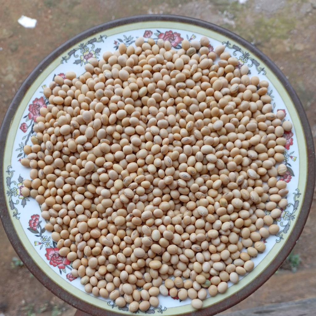 Kacang Kedelai 1kg