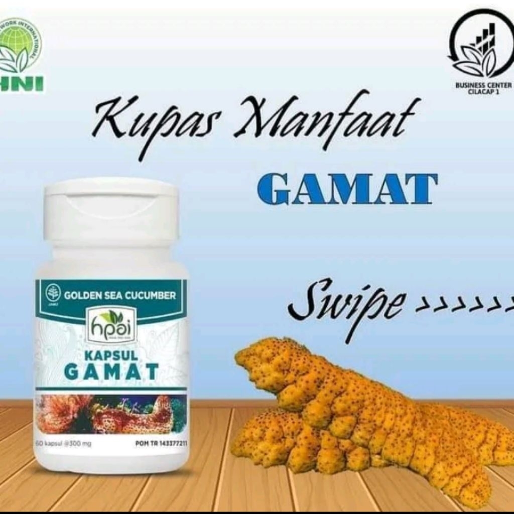 HNI Kapsul Gamat Emas - Meredakan Nyeri Sendi dan Luka Pasca Caesar