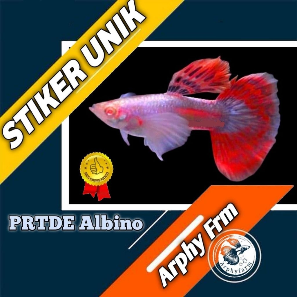 STIKER UNIK PRTDE ALBINO