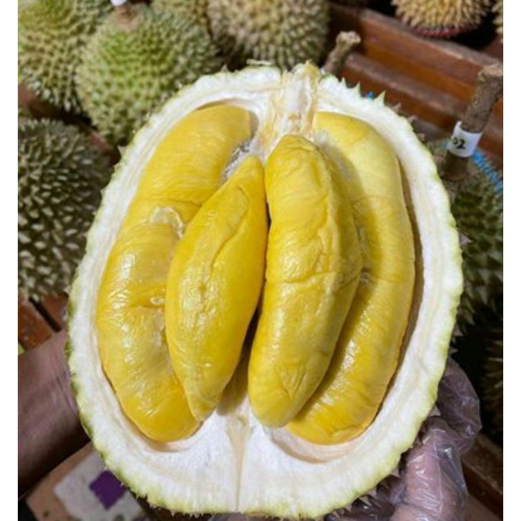 DURIAN MONTONG KUPAS 500GRAM//MUSANGKING