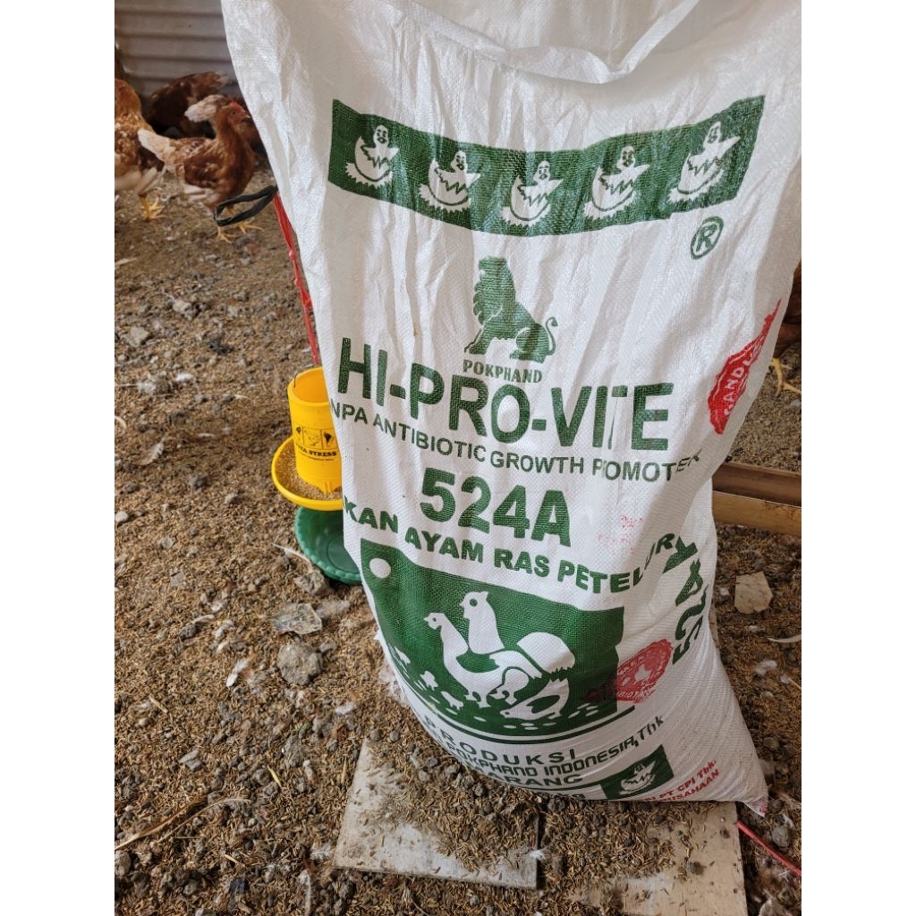 pakan ayam petelur pokphand 524A ecer