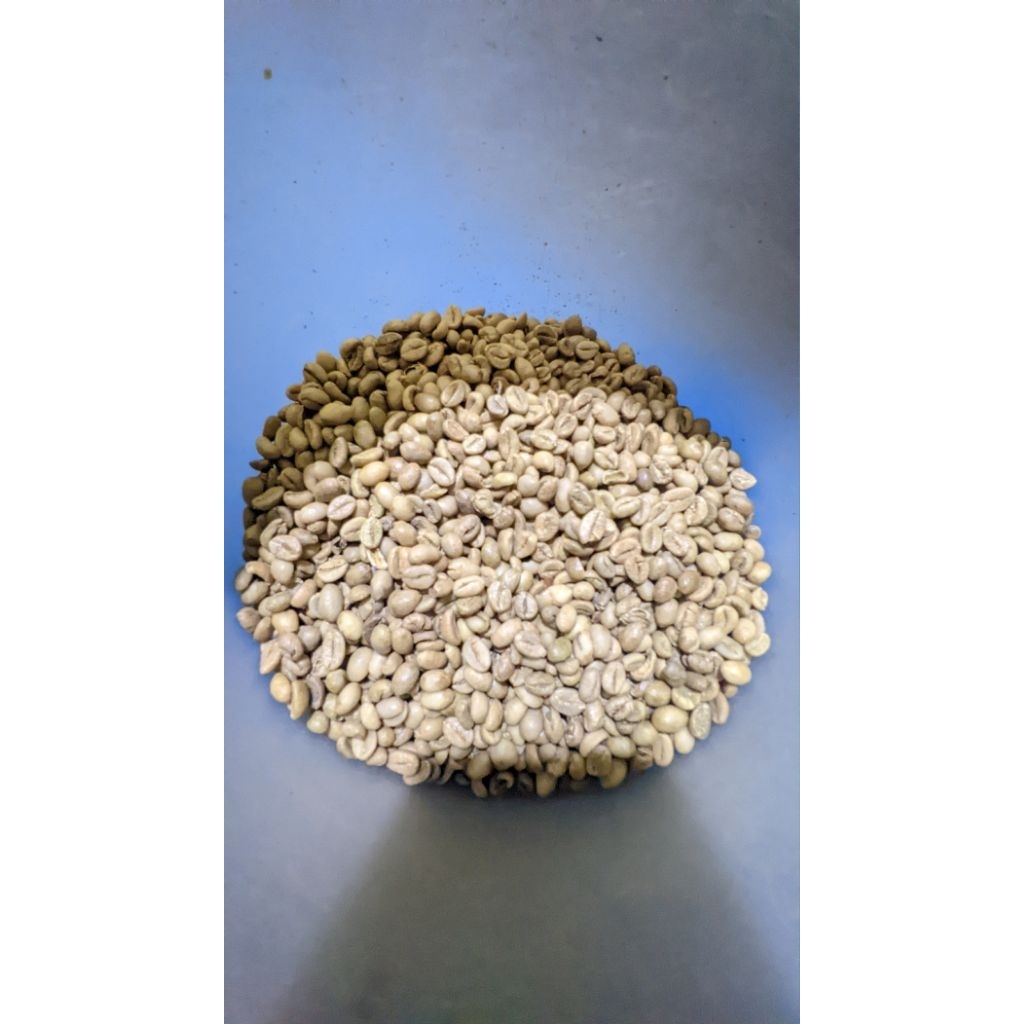 Green Bean Robusta temanggung 1kg