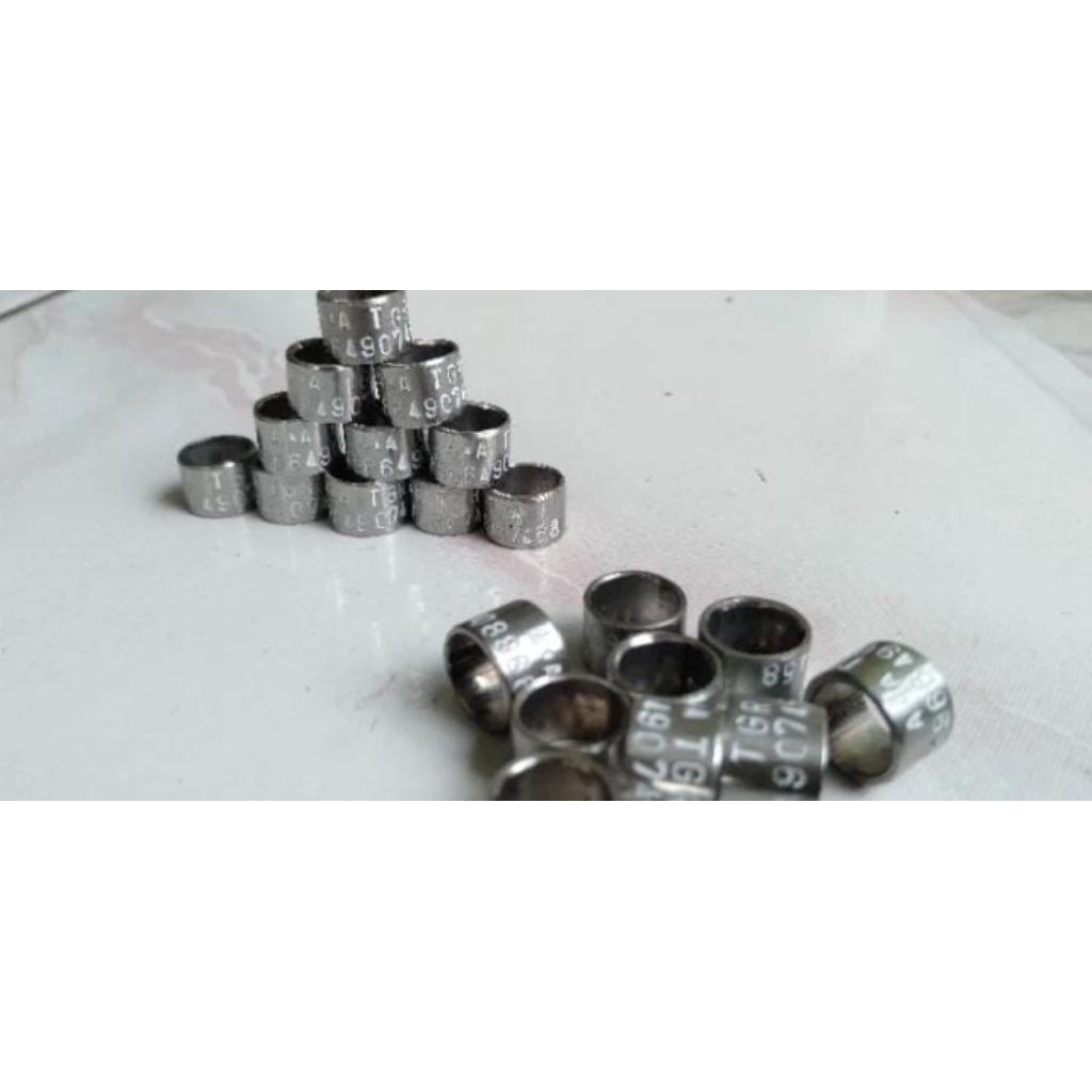 RING BURUNG MERPATI BAJA KETOK TULISAN SEUMUR HIDUP