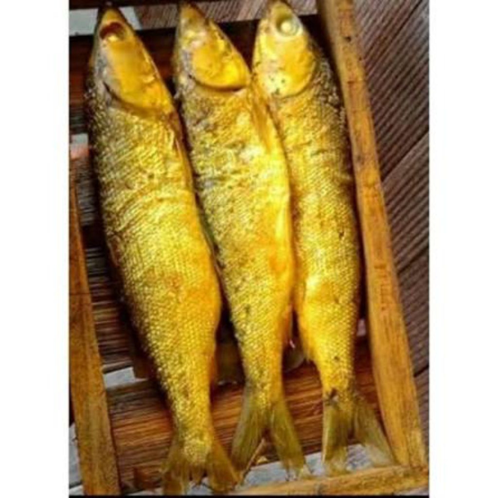 Bandeng Presto isi 2/3 ( ASLI JUWANA)