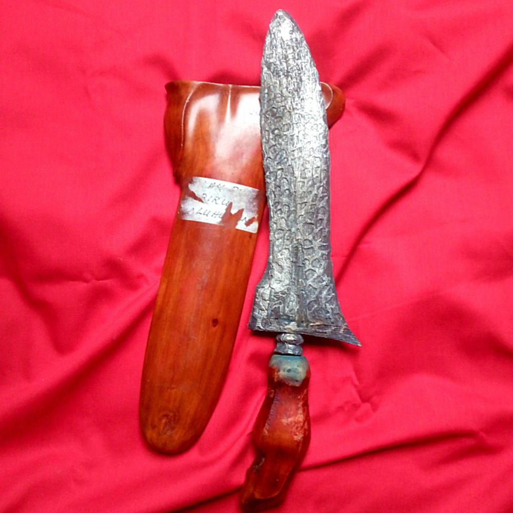 Koleksi Betok Jalak Budho Tangguh Singosari