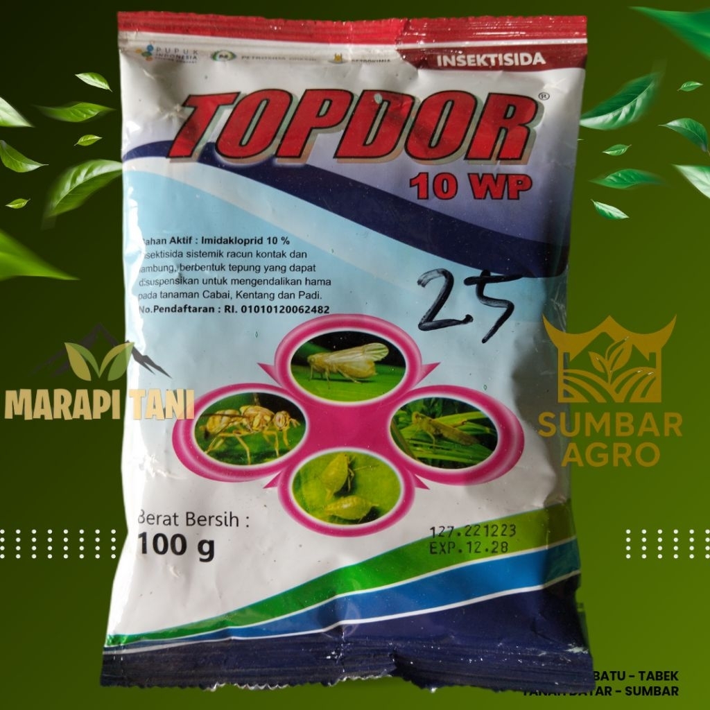 TOPDOR 10wp // Insektisida sistemik // hama kutu daun, kutu kebul, thrips // imidakloprid