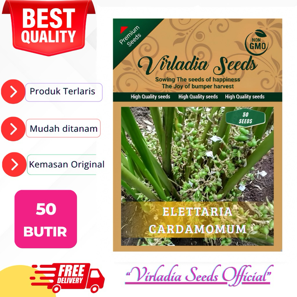 [Virladia Seeds] 50 Biji Benih tanaman Kapulaga India | Kapulaga Hijau