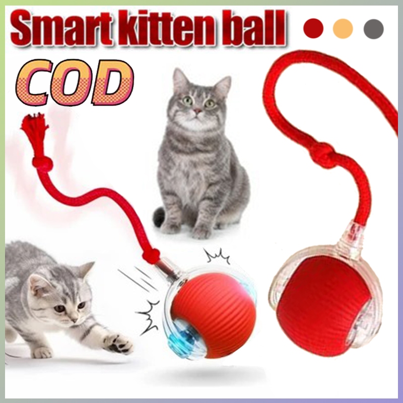 Mainan Anjing Kucing Bola Pet Mainan Anjing Kucing Bola Listrik Bergulir Cerdas LED Laser Bola