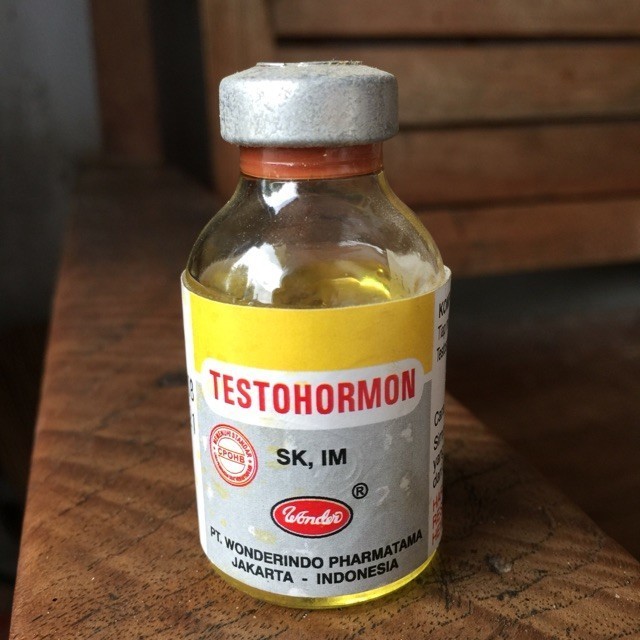 TESTOHORMON 20 ML - Mengatasi Gangguan Reproduksi Hewan