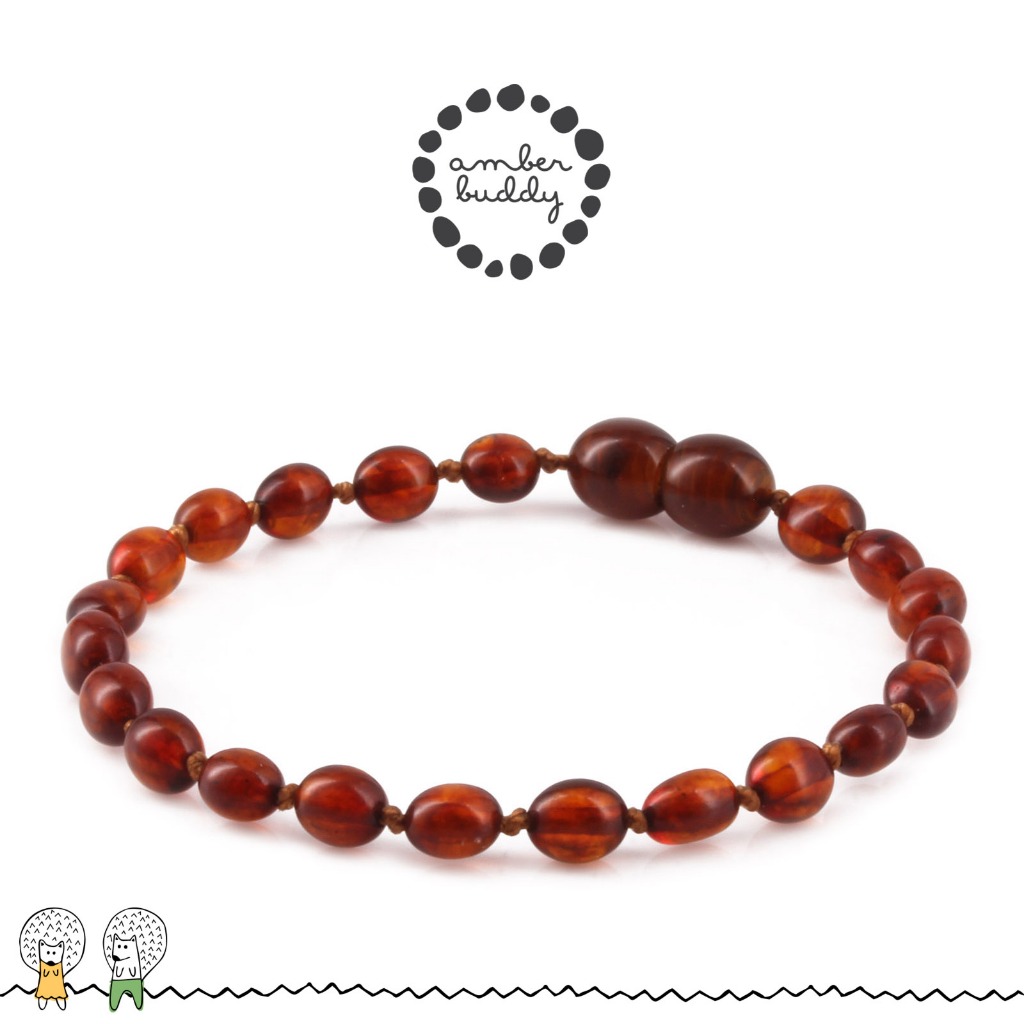 Amber Buddy | XO54C Gelang Amber Dewasa Cognac Glossy - 18cm