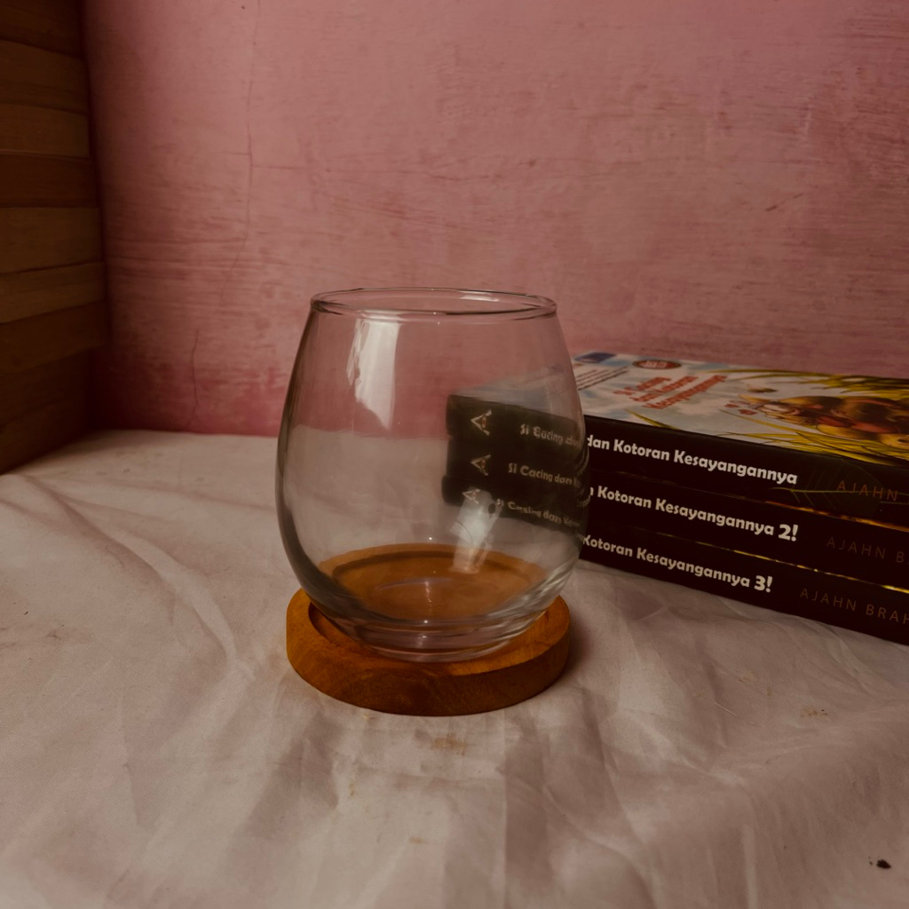 Vas Kaca Bulat Minimalis Tanaman Air | Vas Hidroponik Estetik