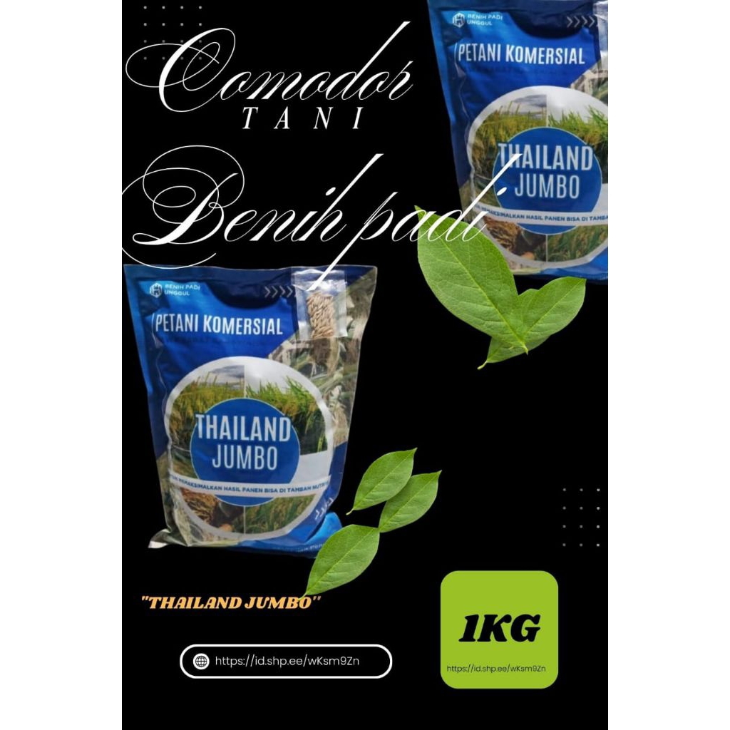 Benih padi Thailand jumbo 1kg benih padi unggulan