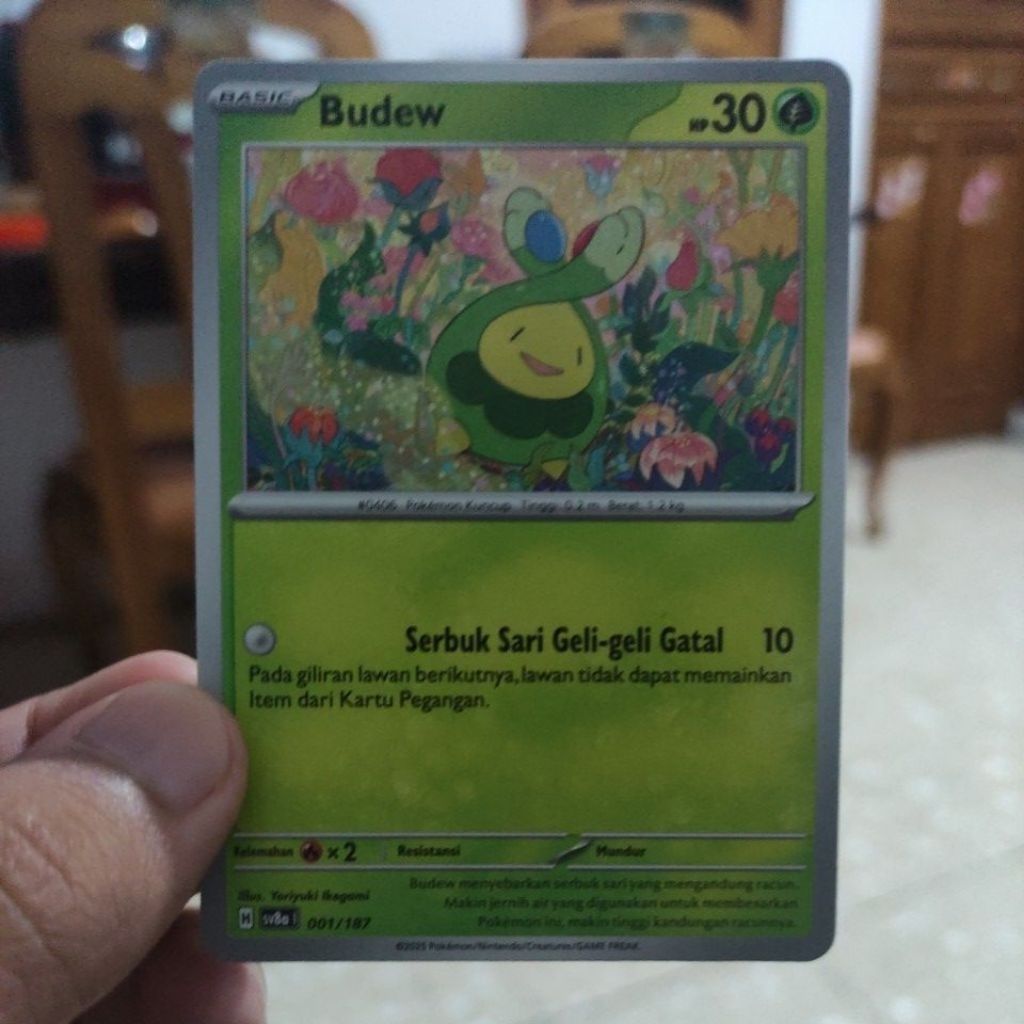 Kartu budew Indonesia common