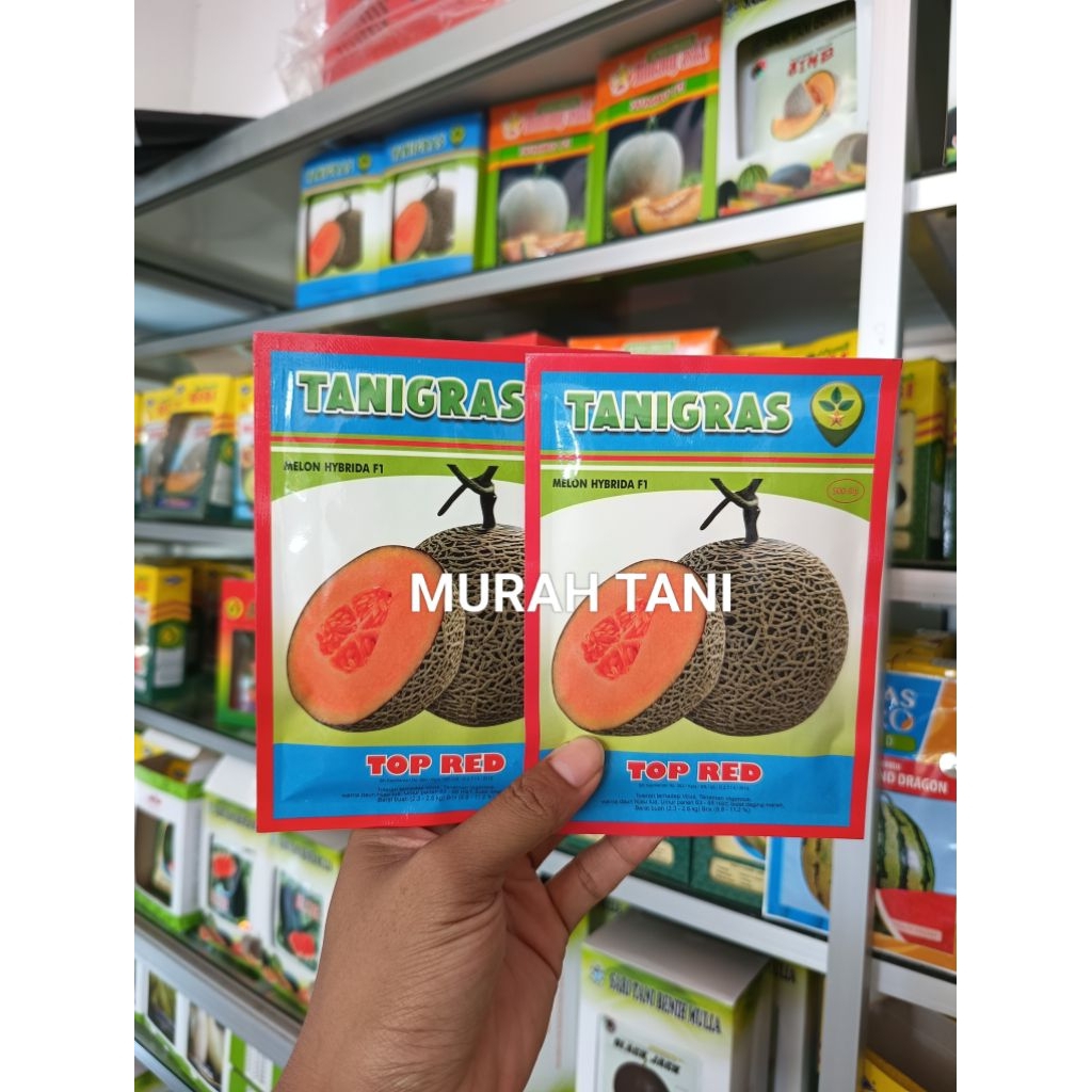 Benih Bibit Melon Top Red F1 Rasa Manis (Perawatan Mudah) Isi 500 Butir Kadaluarsa. 2026 (Terbaru) -