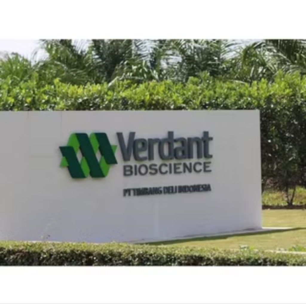 Bijian Benih Kecambah Sawit VERDANT V-80 ORIGINAL