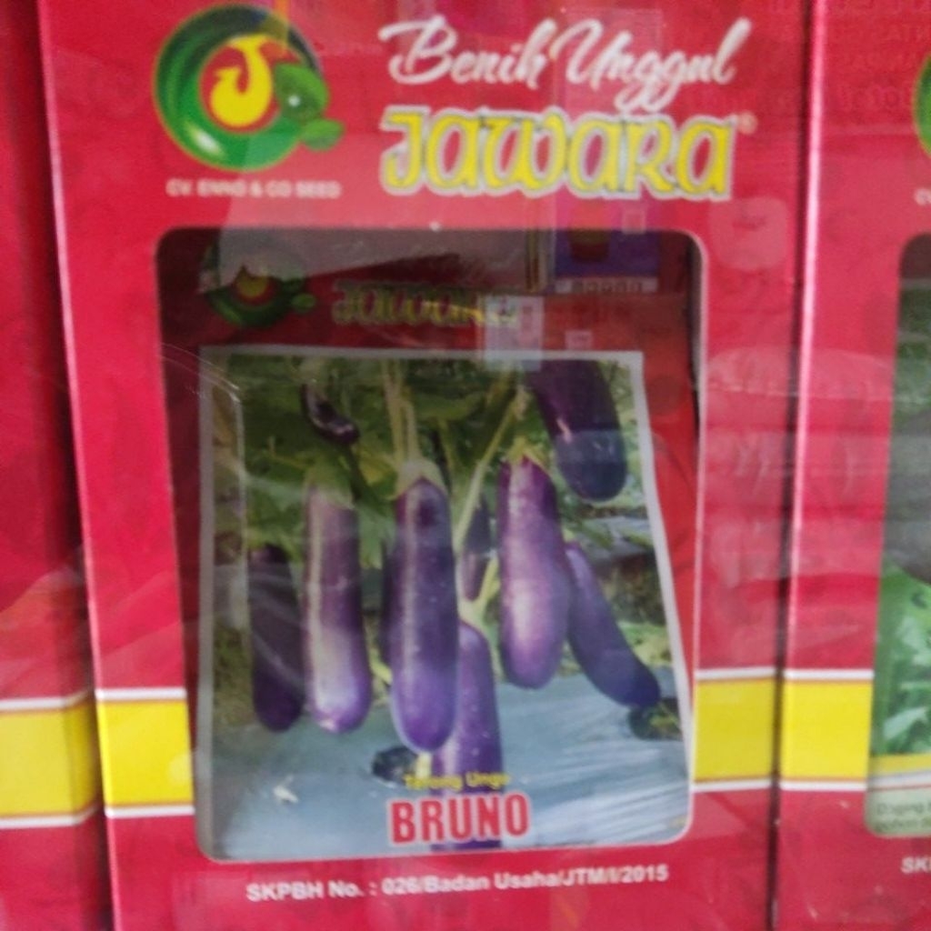 JAWARA_(Kecil)4-10GR