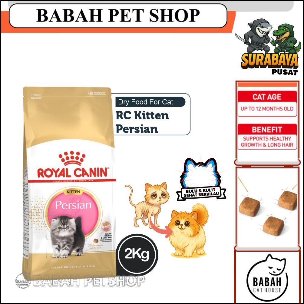 2kg ROYAL CANIN KITTEN PERSIAN cat food rc makanan anak kucing persia untuk bayi anakan persi ras hi