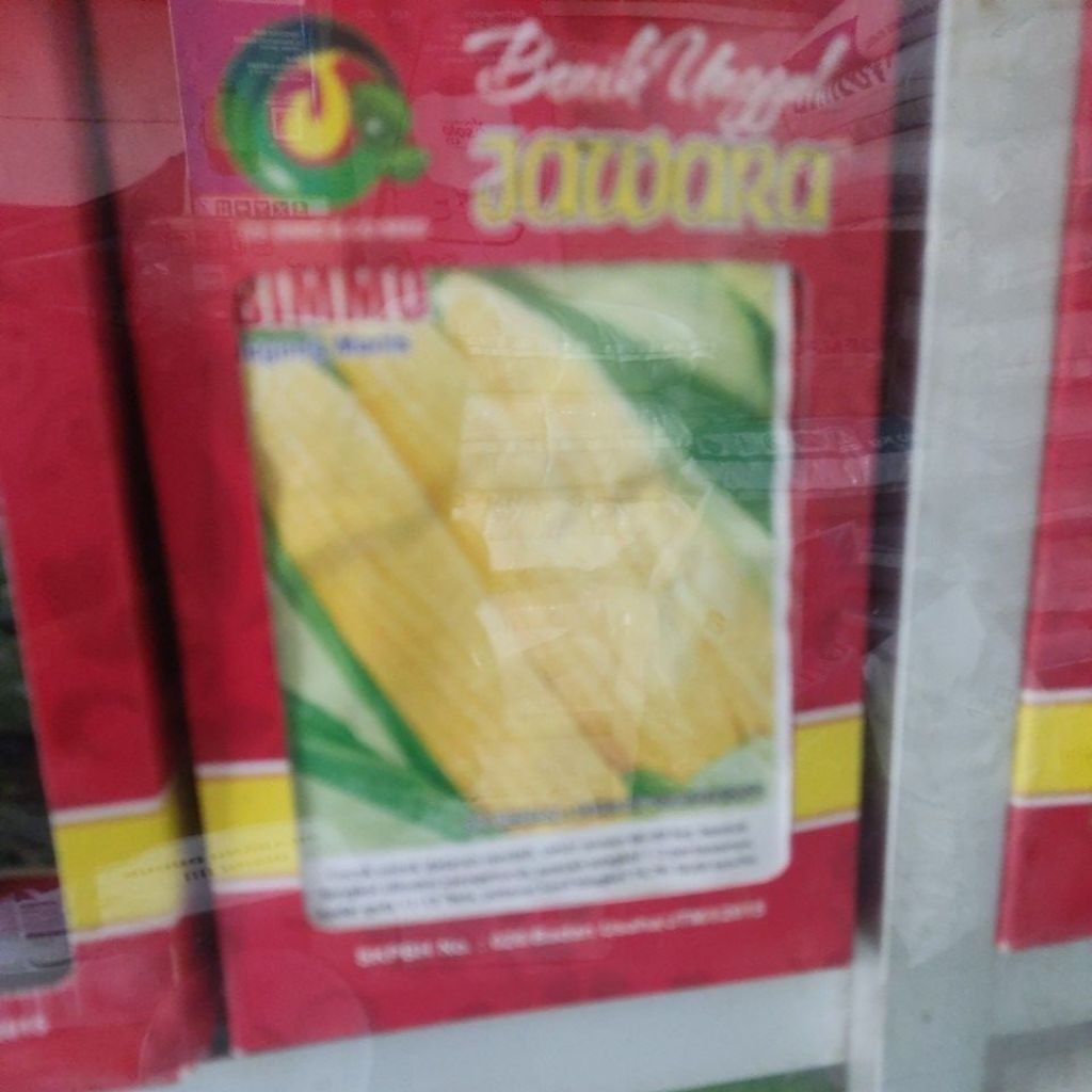 JAWARA_(Kecil)4-10GR